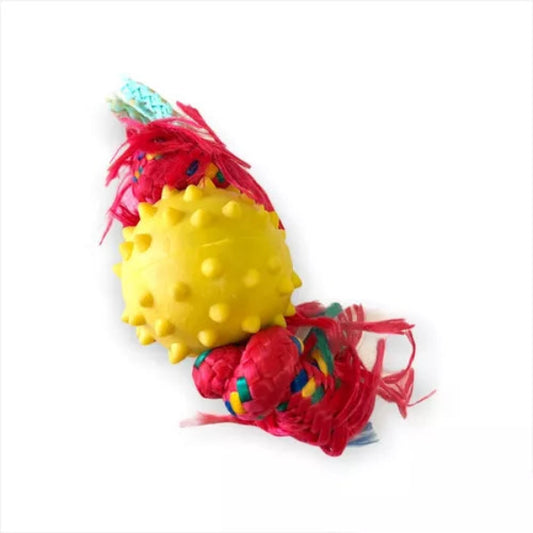 Pelota de Goma con Puas y Soga