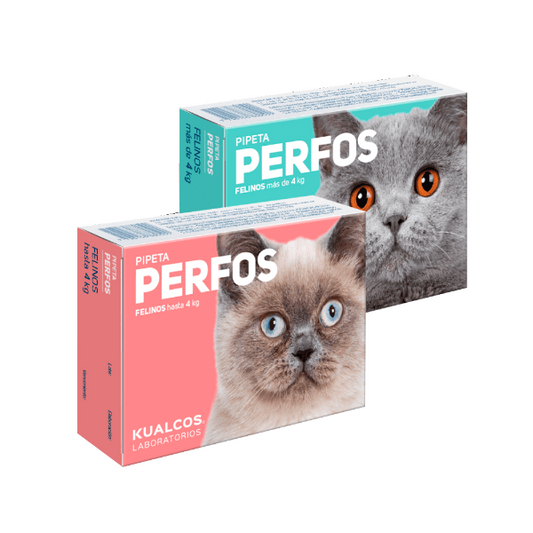Pipeta Perfos Para Gato