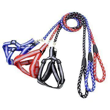 Conjunto Pretal + Correa Reflectario