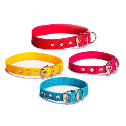 Collar de Polipropileno con terminal de cuero (Consultar colores y diseños)